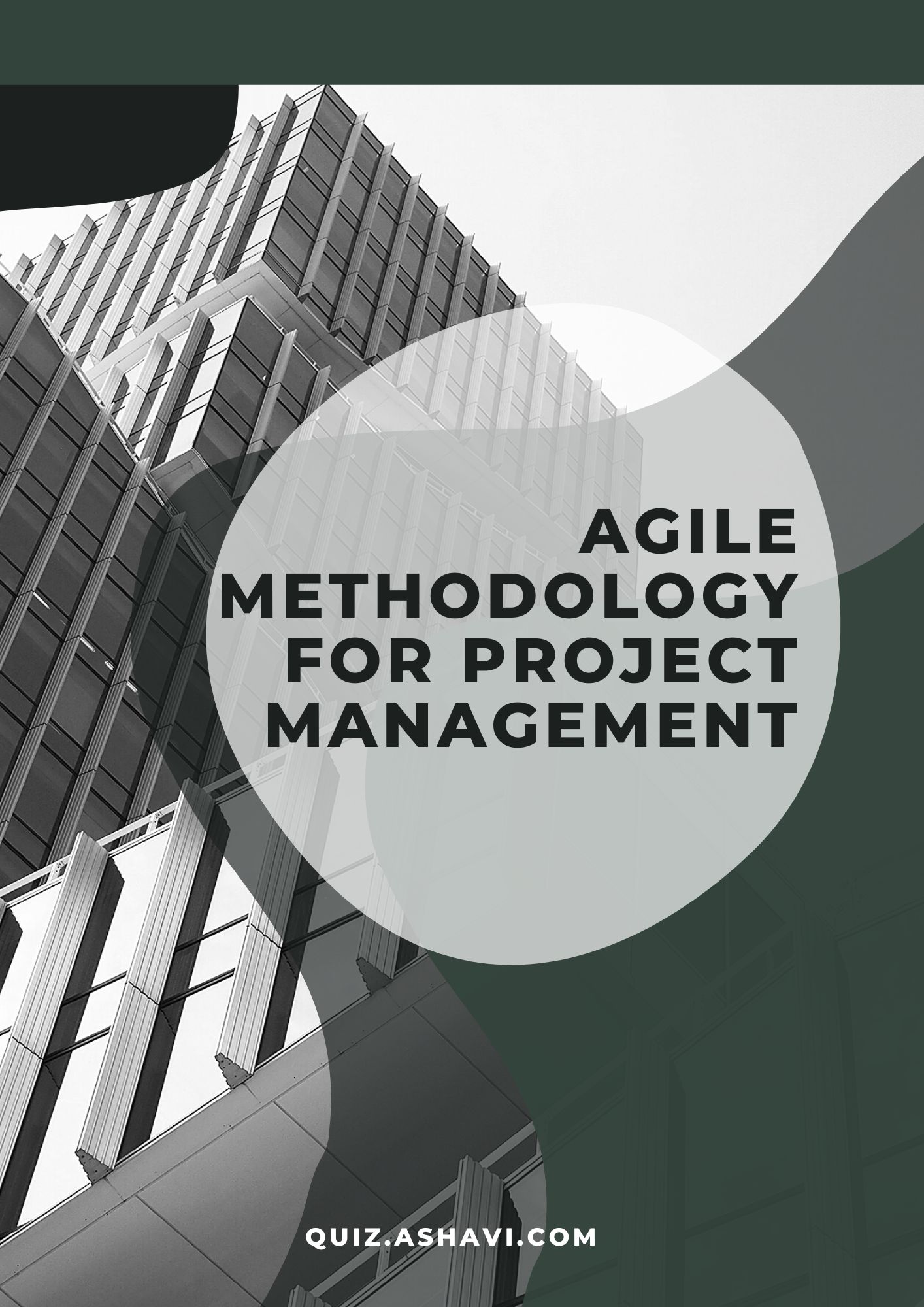 Agile Methodology for Project Management